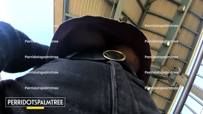 Perridotspalmtree Latina Titflash - Perridotspalmtree Patreon Videos